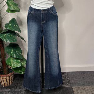 Denim Hillard and Hanson Jeans Size 6P